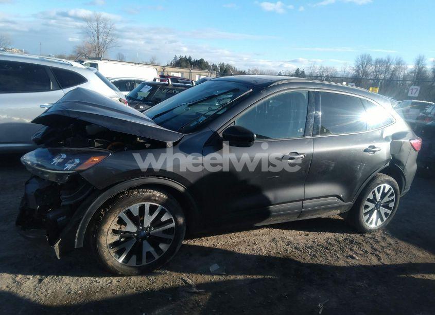 Photo 13 of 2020 Ford Escape SE SPORT HYBRID (VIN 1FMCU9BZ3LUC56739)