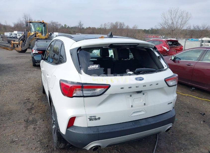 Photo 6 of 2020 Ford Escape SE SPORT HYBRID (VIN 1FMCU9BZ4LUB11970)