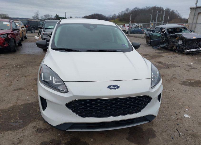 Photo 11 of 2022 Ford Escape SE HYBRID (VIN 1FMCU9BZ5NUA38739)