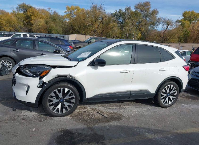 Photo 13 of 2020 Ford Escape SE SPORT HYBRID (VIN 1FMCU9BZ9LUC23258)