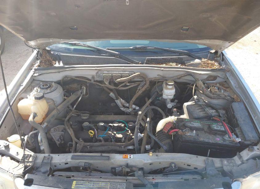 Photo 10 of 2010 Ford Escape XLS (VIN 1FMCU9C76AKC84346)