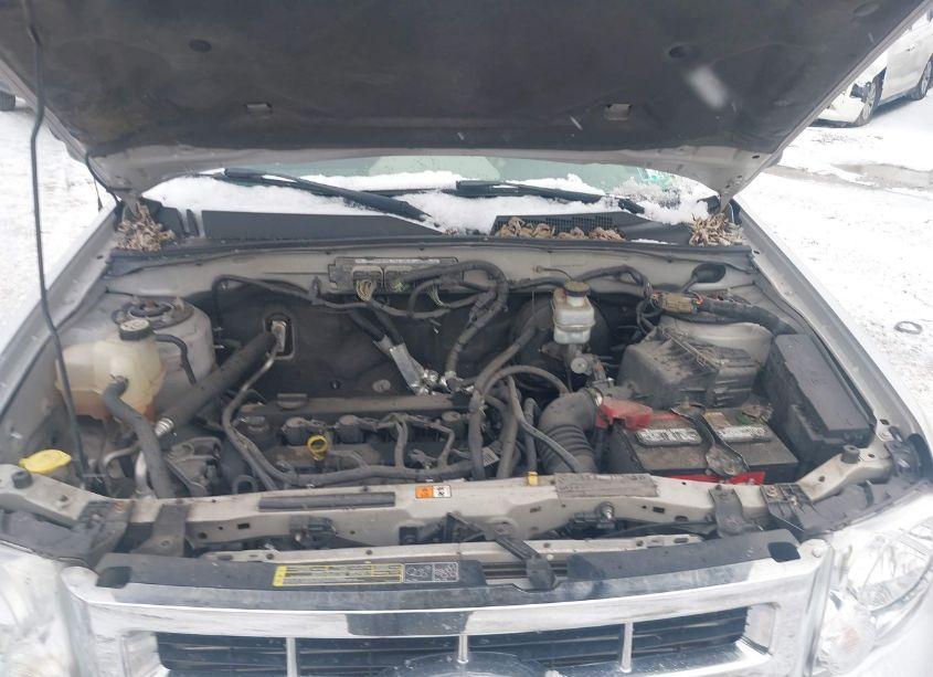 Photo 10 of 2010 Ford Escape XLS (VIN 1FMCU9C7XAKD34651)