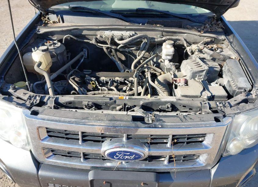 Photo 10 of 2010 Ford Escape XLT (VIN 1FMCU9D70AKC78783)