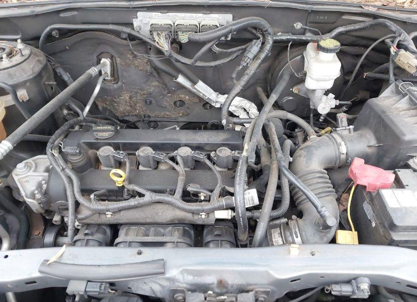 Photo 10 of 2011 Ford Escape XLT (VIN 1FMCU9D70BKA31605)