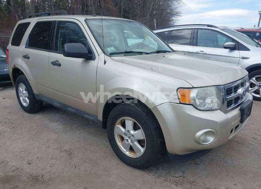 2011 Ford Escape XLT (VIN 1FMCU9D70BKA77676) main photo