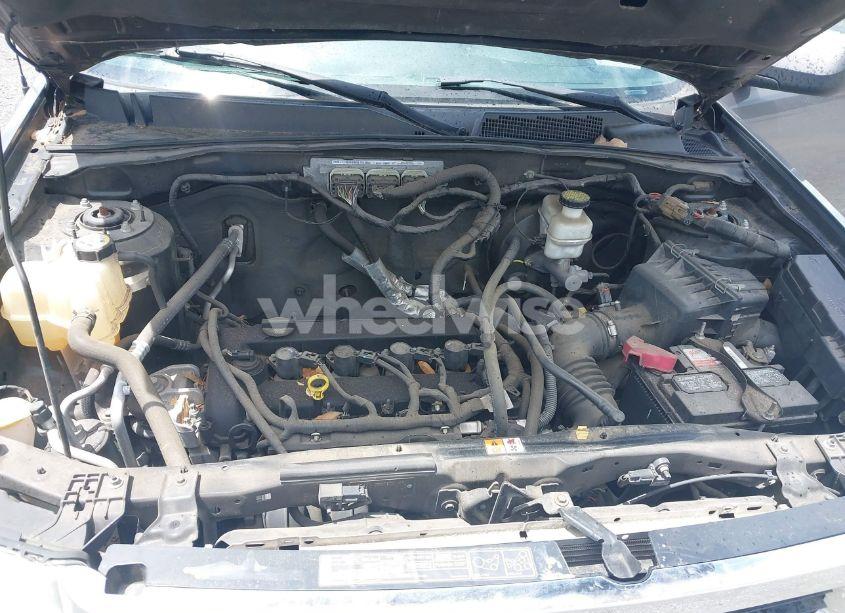 Photo 10 of 2011 Ford Escape XLT (VIN 1FMCU9D70BKA79380)