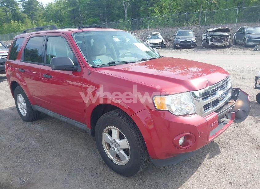 2011 Ford Escape XLT (VIN 1FMCU9D70BKB69077) main photo