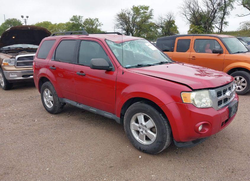 2010 Ford Escape XLT (VIN 1FMCU9D71AKD32706) main photo