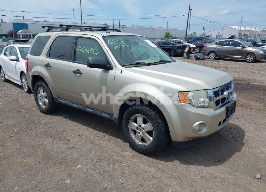 2011 Ford Escape XLT (VIN 1FMCU9D72BKA46994) main photo