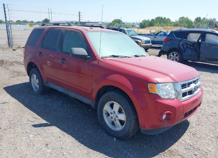 2010 Ford Escape XLT (VIN 1FMCU9D75AKB94992) main photo