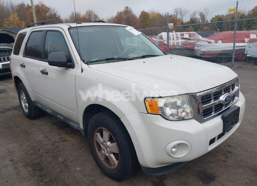 2011 Ford Escape XLT (VIN 1FMCU9D75BKA36007) main photo