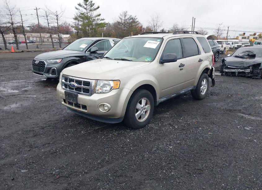 2010 Ford Escape XLT (VIN 1FMCU9D77AKC48776) main photo