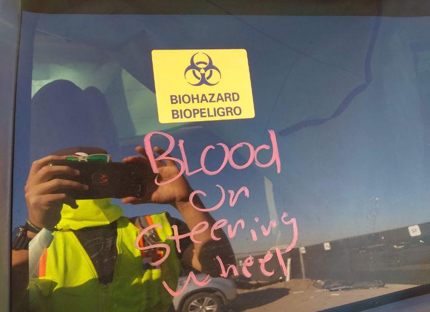 Photo 15 of 2012 Ford Escape XLT (VIN 1FMCU9D77CKC54970)