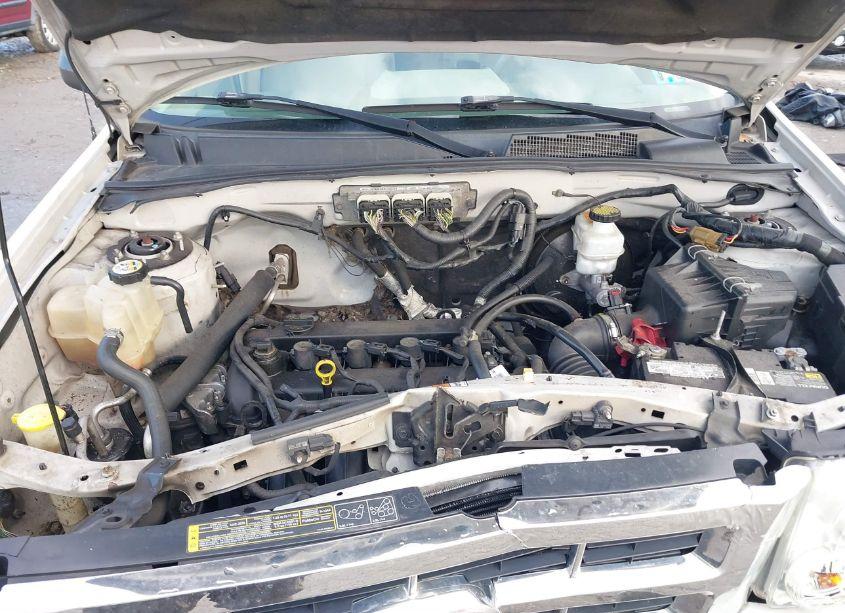 Photo 10 of 2010 Ford Escape XLT (VIN 1FMCU9D78AKC42145)