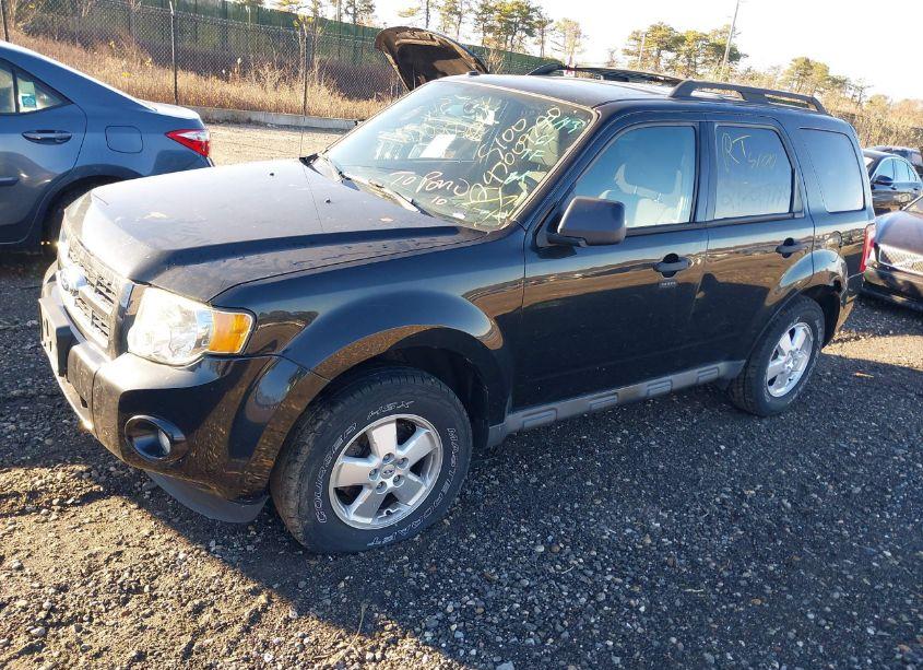 Photo 2 of 2011 Ford Escape XLT (VIN 1FMCU9D78BKA77716)