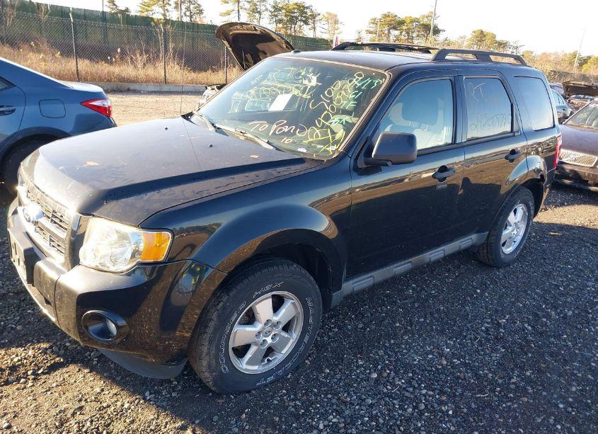 Photo 6 of 2011 Ford Escape XLT (VIN 1FMCU9D78BKA77716)