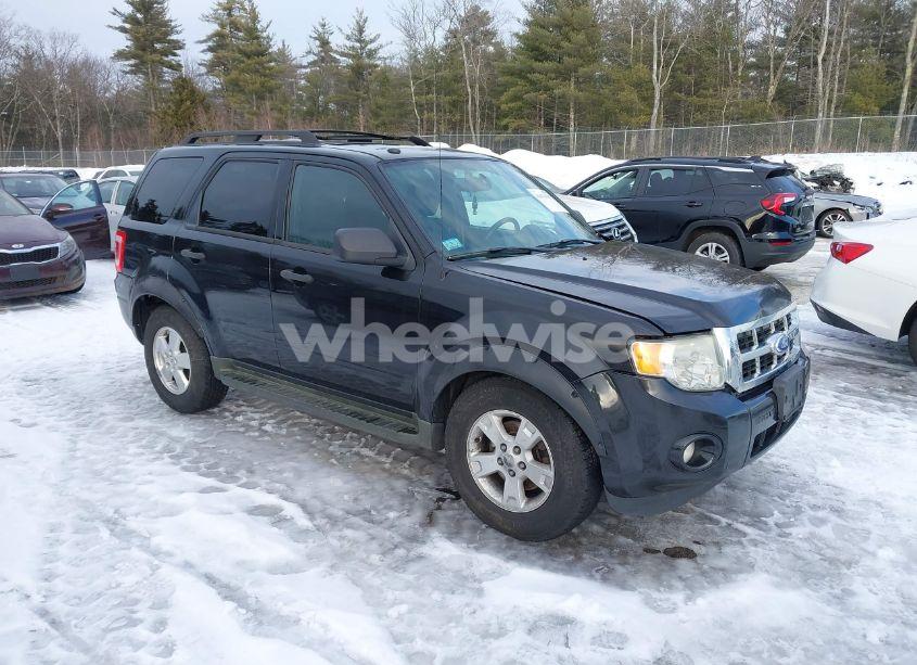 2011 Ford Escape XLT (VIN 1FMCU9D78BKC46486) main photo
