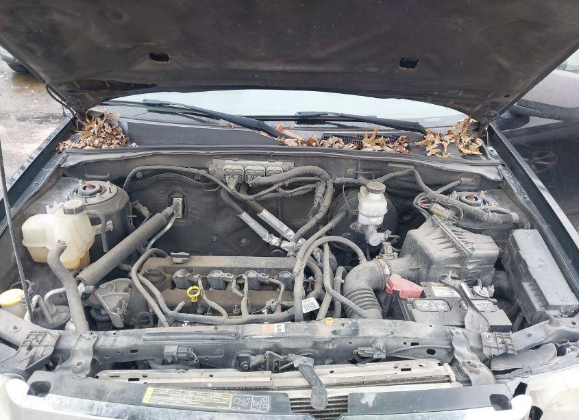 Photo 9 of 2010 Ford Escape XLT (VIN 1FMCU9D79AKB79072)
