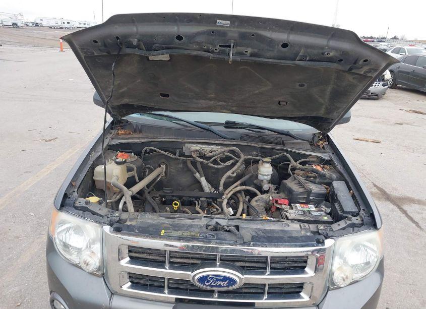 Photo 10 of 2010 Ford Escape XLT (VIN 1FMCU9D79AKC30957)