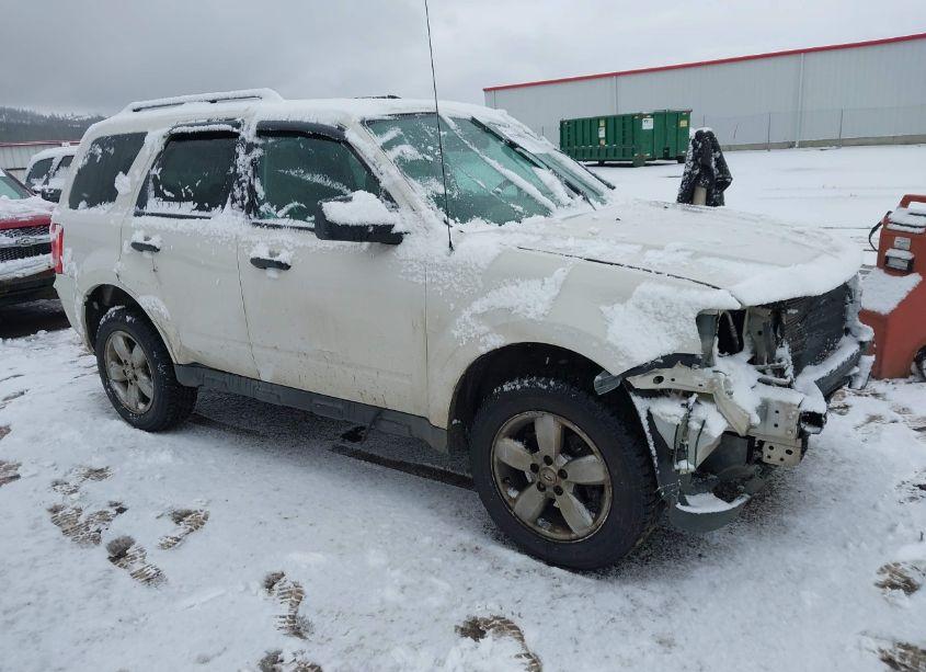 2011 Ford Escape XLT (VIN 1FMCU9D7XBKC23629) main photo