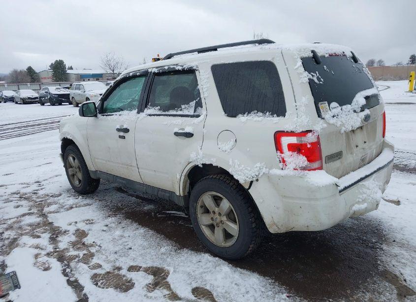 Photo 3 of 2011 Ford Escape XLT (VIN 1FMCU9D7XBKC23629)