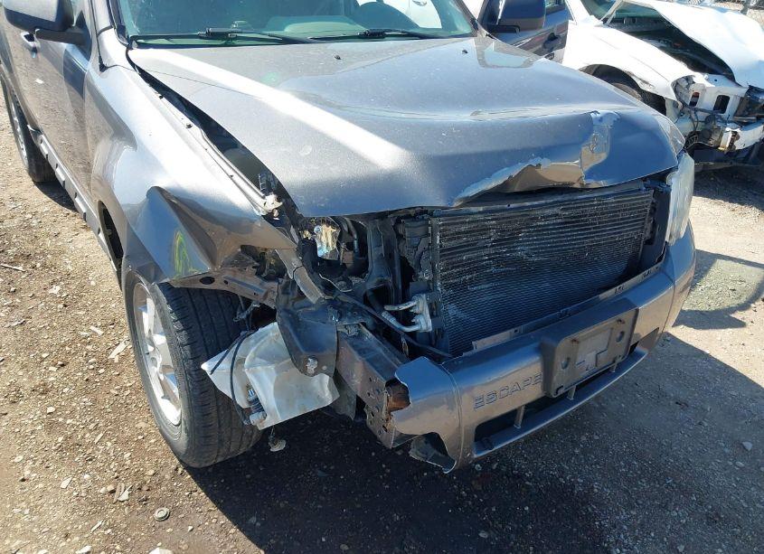 Photo 6 of 2010 Ford Escape XLT (VIN 1FMCU9DG0AKB27734)