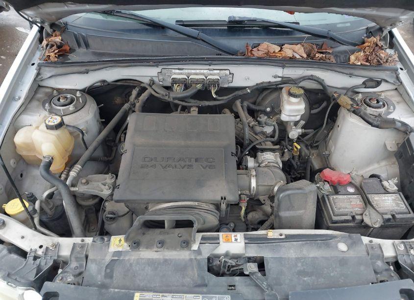 Photo 10 of 2010 Ford Escape XLT (VIN 1FMCU9DG0AKD08378)