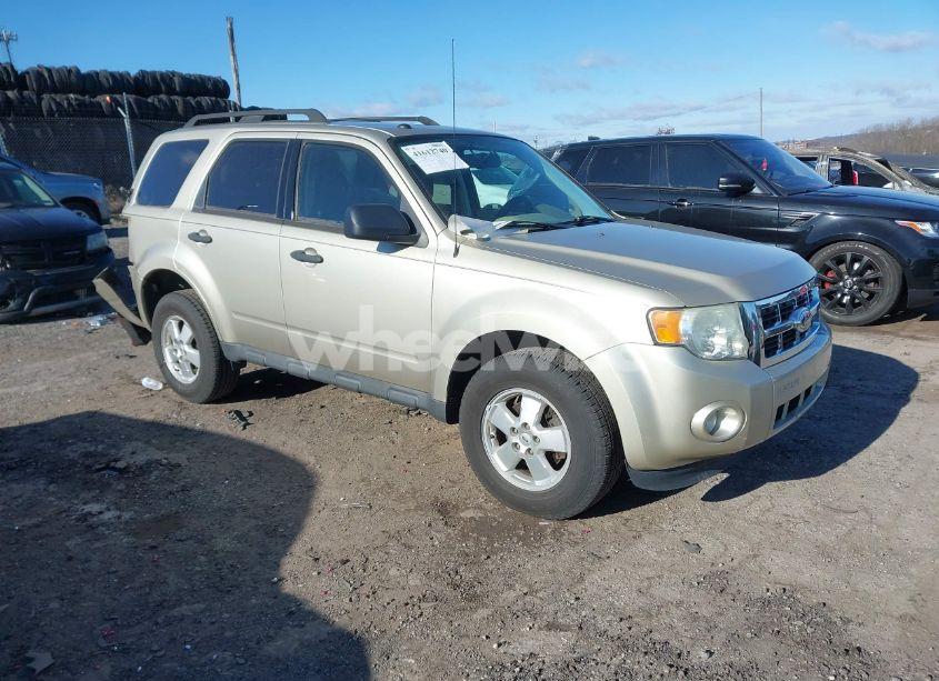 2011 Ford Escape XLT (VIN 1FMCU9DG0BKC35823) main photo