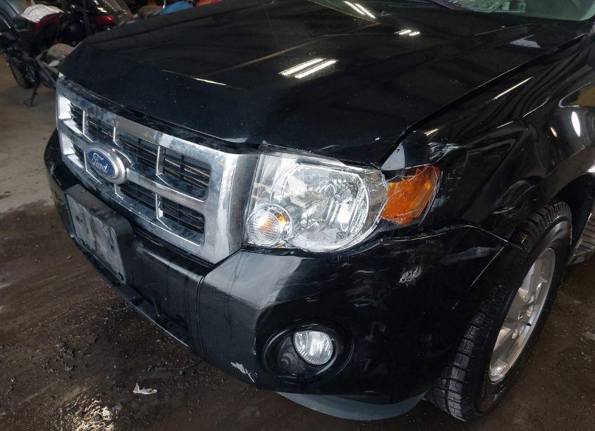 Photo 6 of 2010 Ford Escape XLT (VIN 1FMCU9DG1AKB53811)