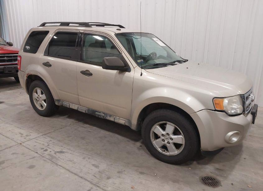 2010 Ford Escape XLT (VIN 1FMCU9DG1AKC21265) main photo