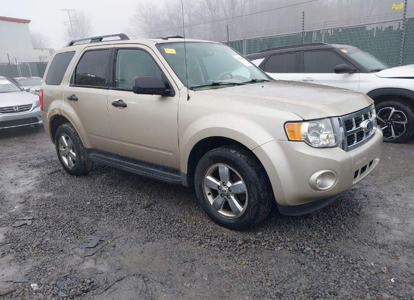2011 Ford Escape XLT (VIN 1FMCU9DG1BKA86502) main photo