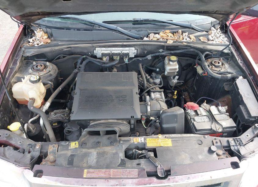 Photo 10 of 2011 Ford Escape XLT AUTOMATIC (VIN 1FMCU9DG1BKB08224)