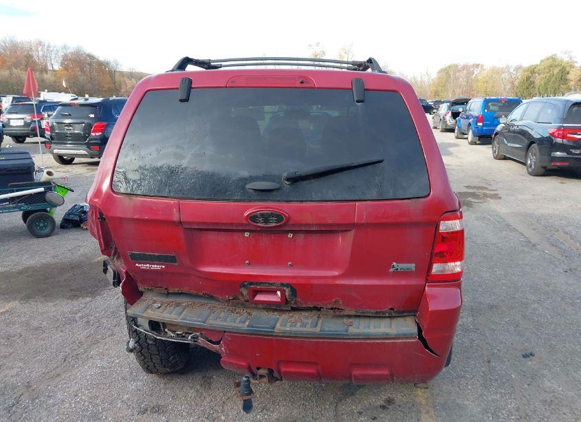 Photo 16 of 2011 Ford Escape XLT AUTOMATIC (VIN 1FMCU9DG1BKB08224)