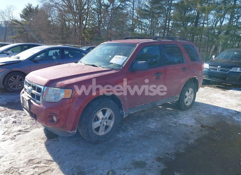 Photo 2 of 2011 Ford Escape XLT (VIN 1FMCU9DG1BKC05651)