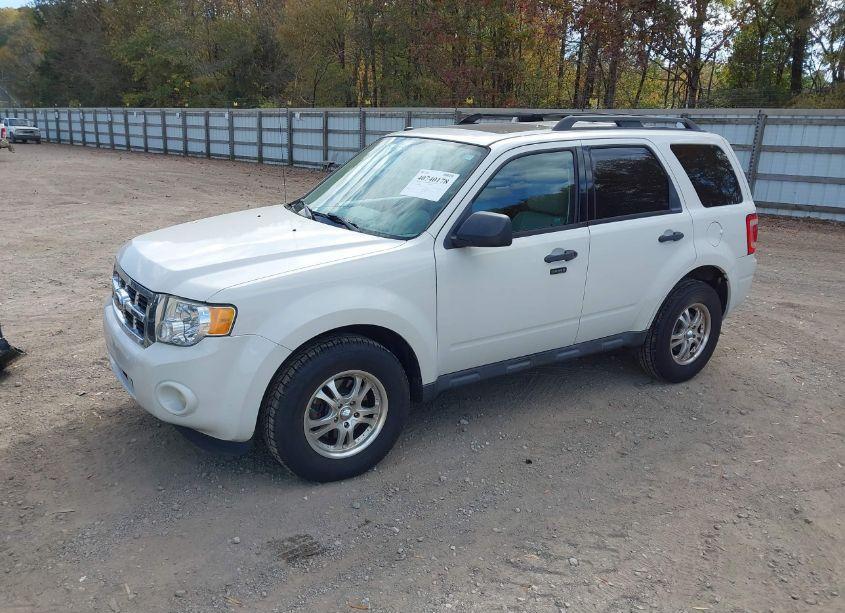 Photo 2 of 2011 Ford Escape XLT (VIN 1FMCU9DG1BKC47625)