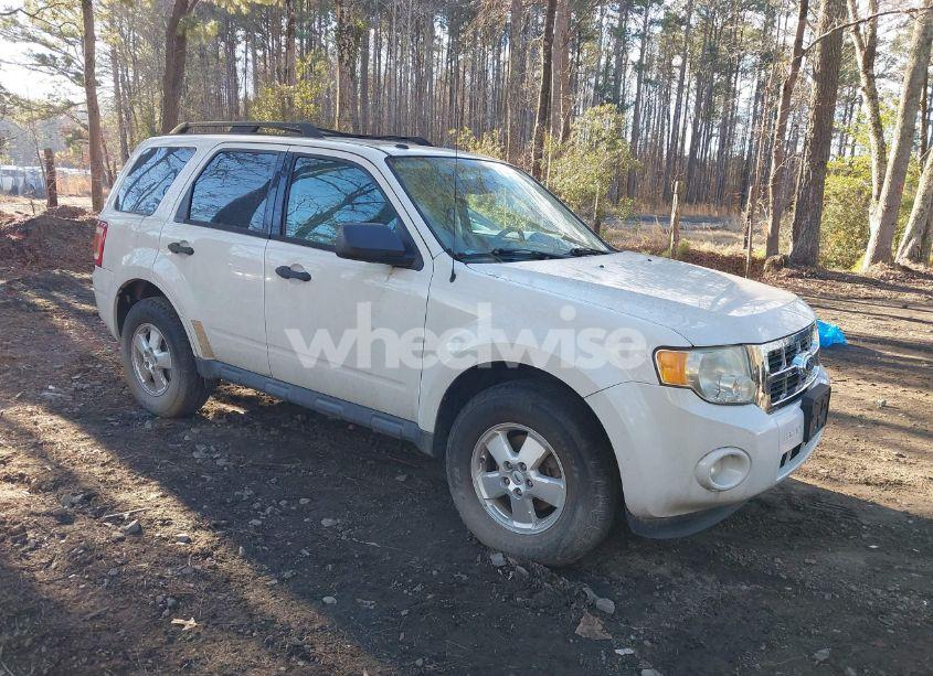 2011 Ford Escape XLT (VIN 1FMCU9DG2BKB28403) main photo