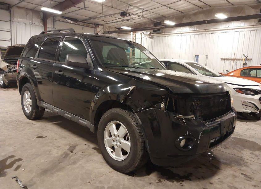 2010 Ford Escape XLT (VIN 1FMCU9DG3AKA96110) main photo