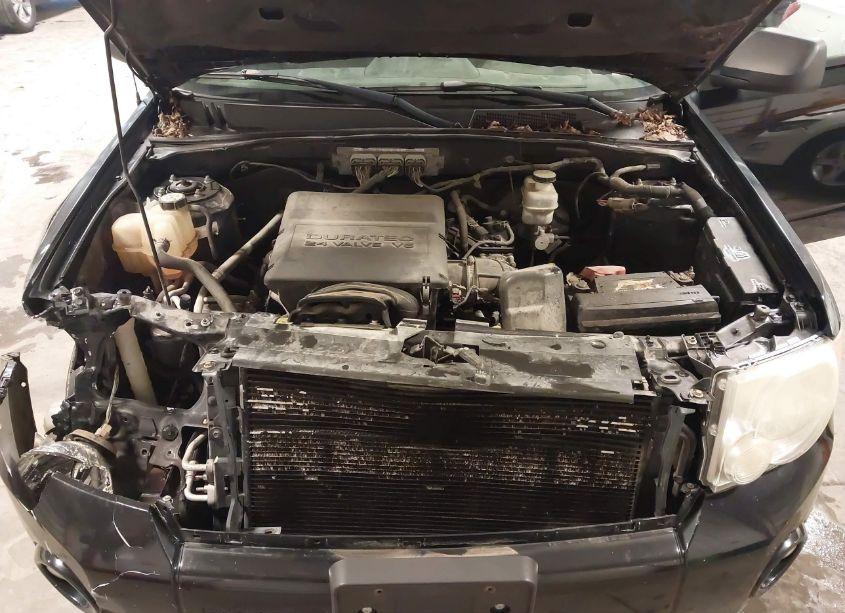 Photo 10 of 2010 Ford Escape XLT (VIN 1FMCU9DG3AKA96110)