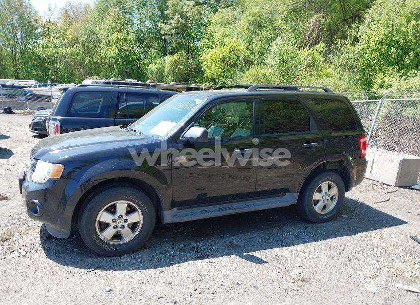 Photo 6 of 2011 Ford Escape XLT AUTOMATIC (VIN 1FMCU9DG3BKB76329)