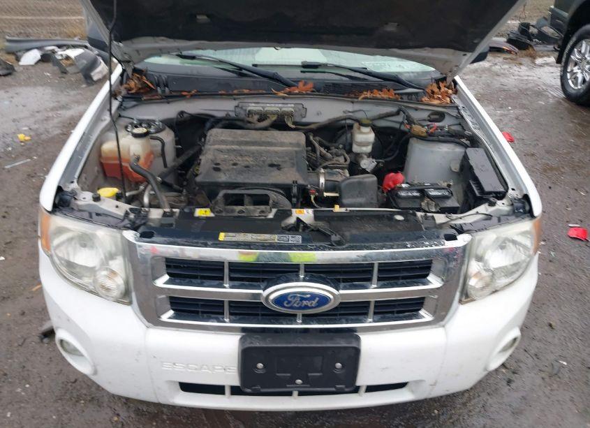 Photo 10 of 2011 Ford Escape XLT (VIN 1FMCU9DG3BKC53944)