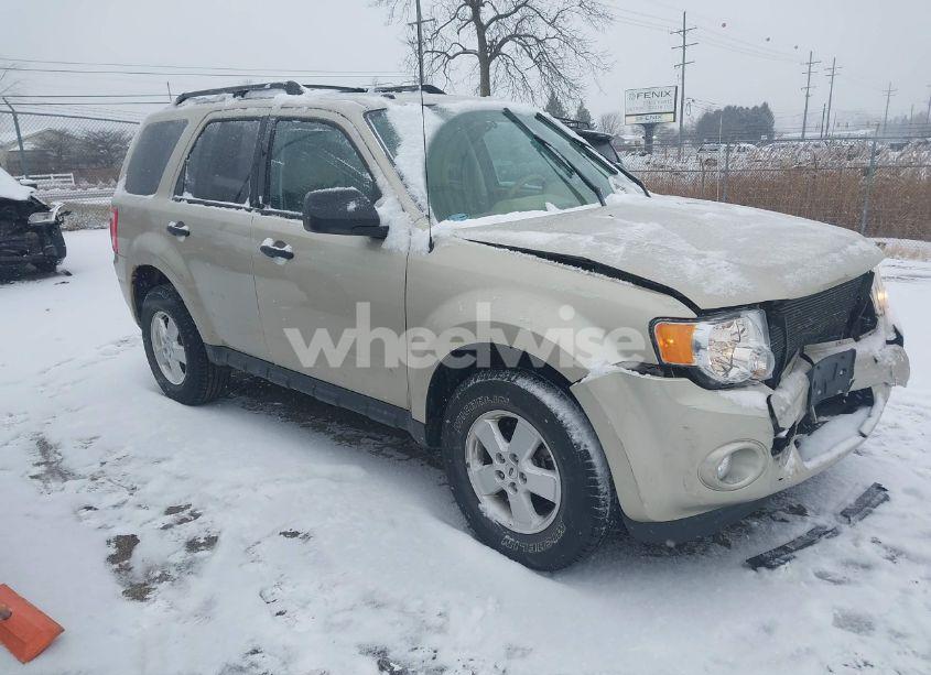 2011 Ford Escape XLT (VIN 1FMCU9DG4BKA49900) main photo