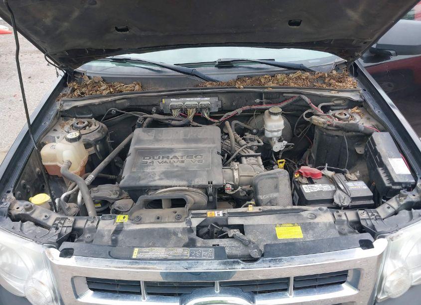 Photo 10 of 2011 Ford Escape XLT (VIN 1FMCU9DG4BKB72547)