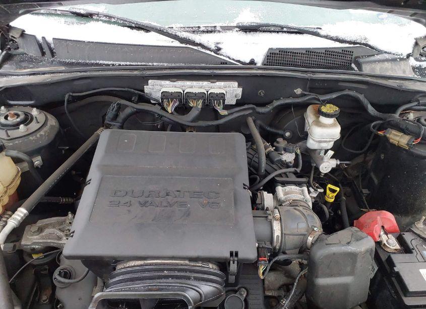 Photo 10 of 2011 Ford Escape XLT (VIN 1FMCU9DG5BKB01826)