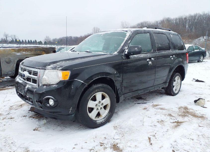 Photo 2 of 2011 Ford Escape XLT (VIN 1FMCU9DG5BKB01826)