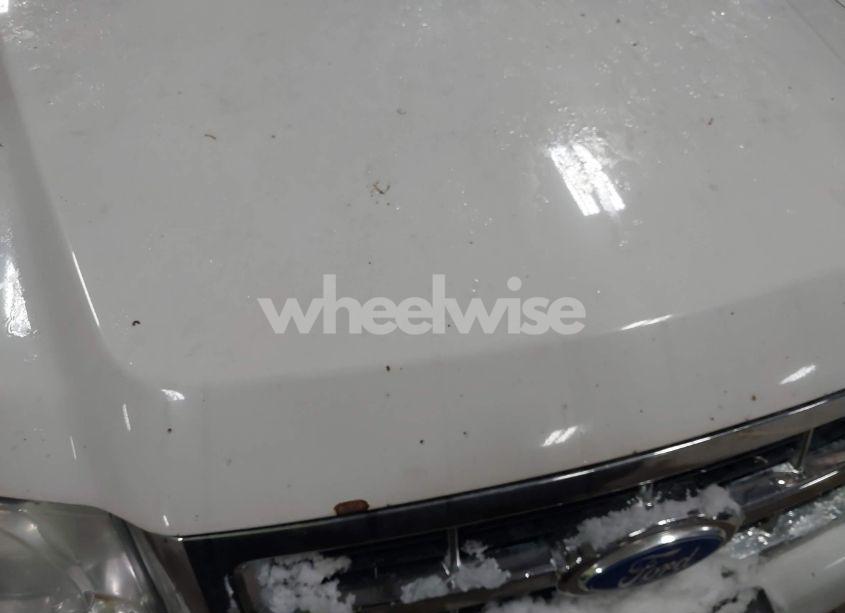 Photo 14 of 2011 Ford Escape XLT AUTOMATIC (VIN 1FMCU9DG5BKB94170)