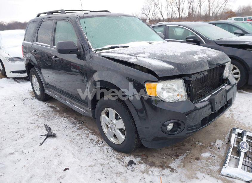 2011 Ford Escape XLT (VIN 1FMCU9DG5BKC36448) main photo