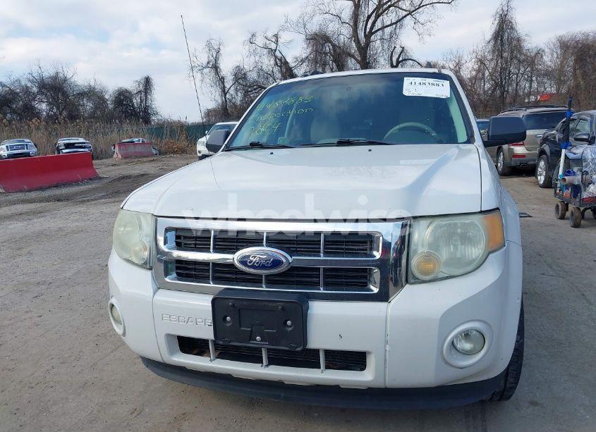 Photo 11 of 2011 Ford Escape XLT (VIN 1FMCU9DG6BKA78802)