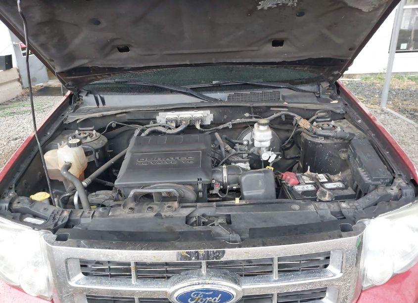 Photo 10 of 2011 Ford Escape XLT (VIN 1FMCU9DG6BKB69763)