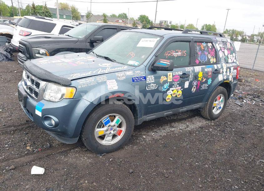 Photo 2 of 2011 Ford Escape XLT (VIN 1FMCU9DG6BKC35759)