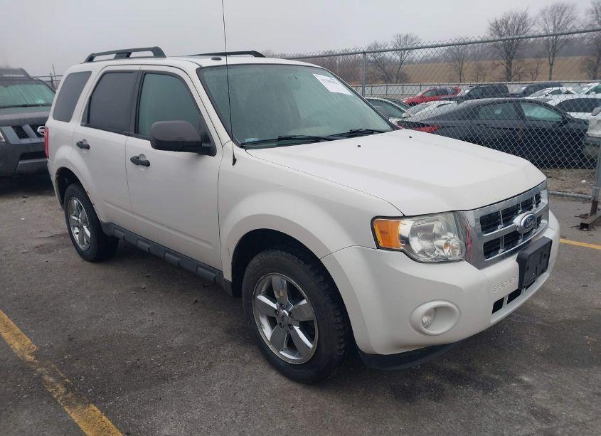 2011 Ford Escape XLT (VIN 1FMCU9DG6BKC37916) main photo